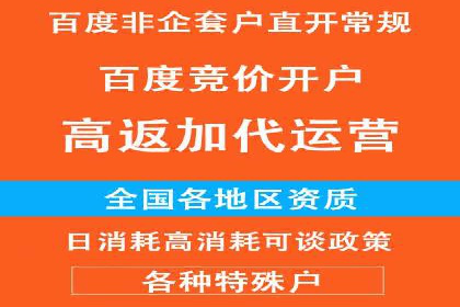 SEM竞价开户流程详解：成功案例解析